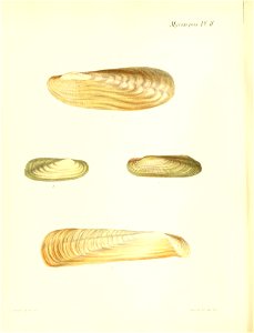 n445_w1150