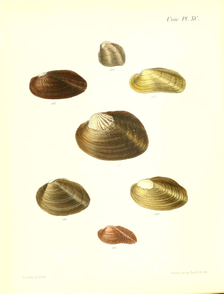 n367_w1150