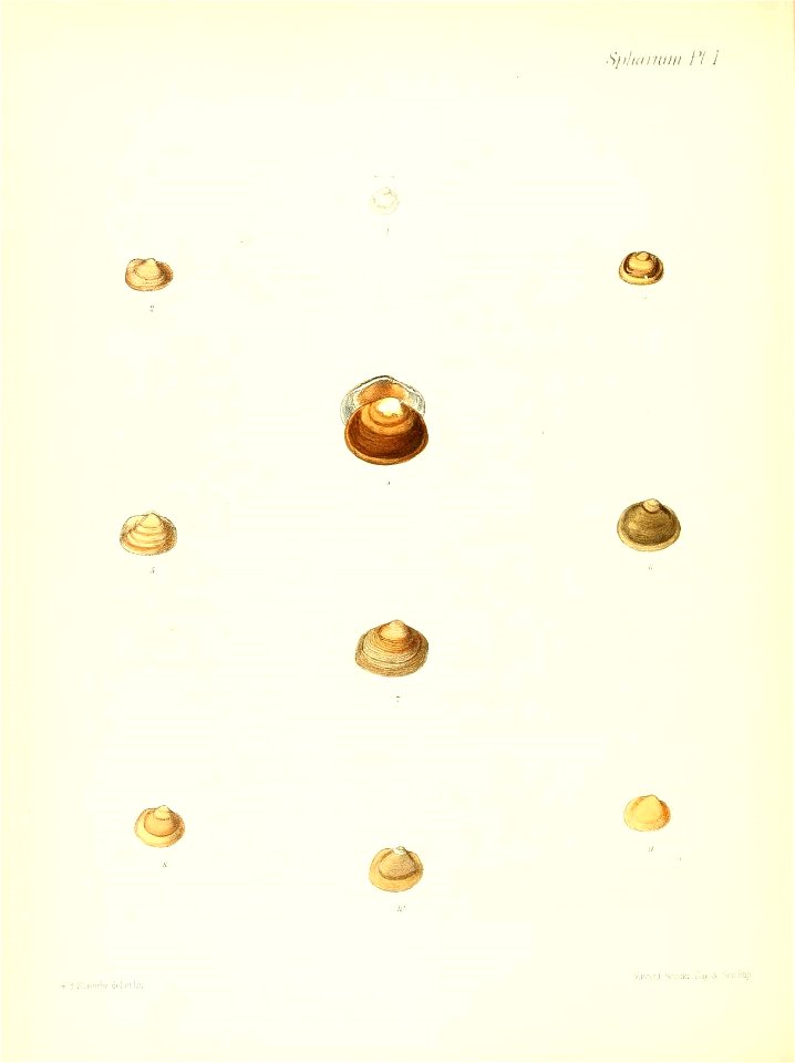 n553_w1150