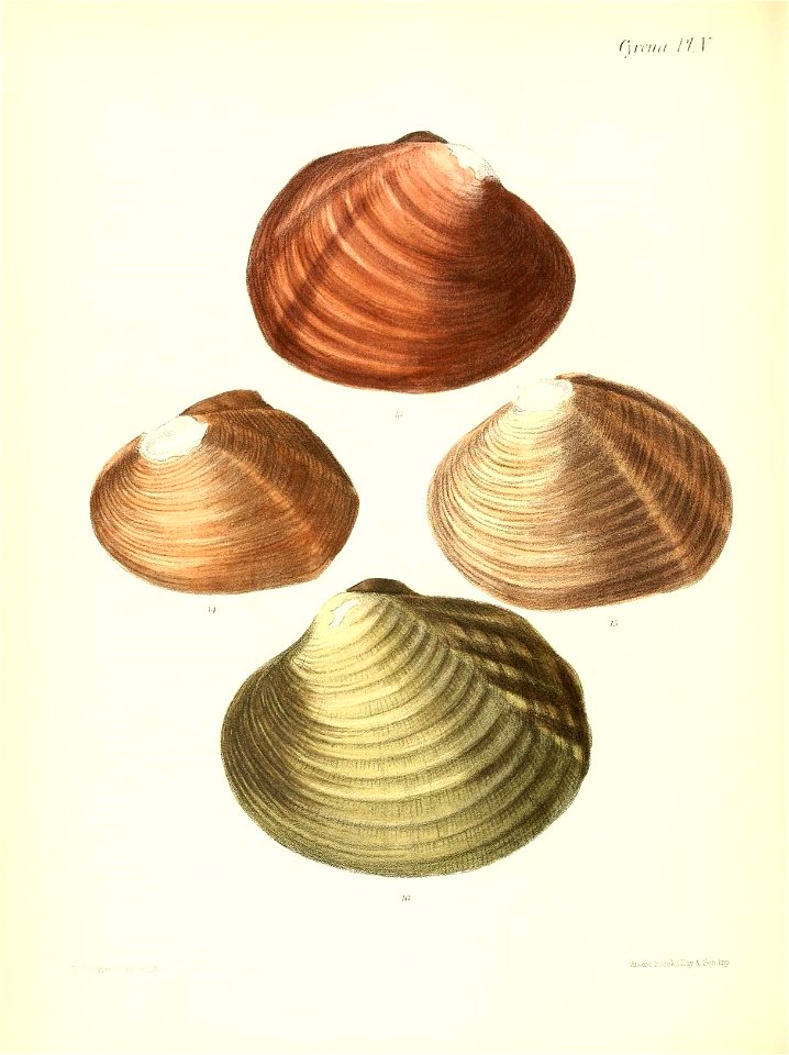 n489_w1150