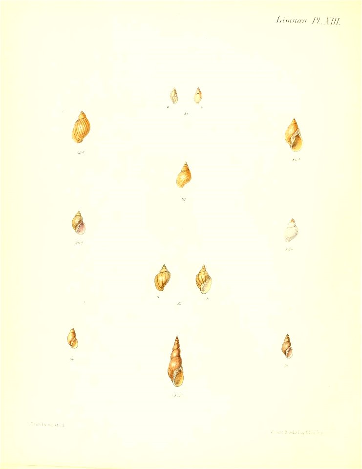 n505_w1150