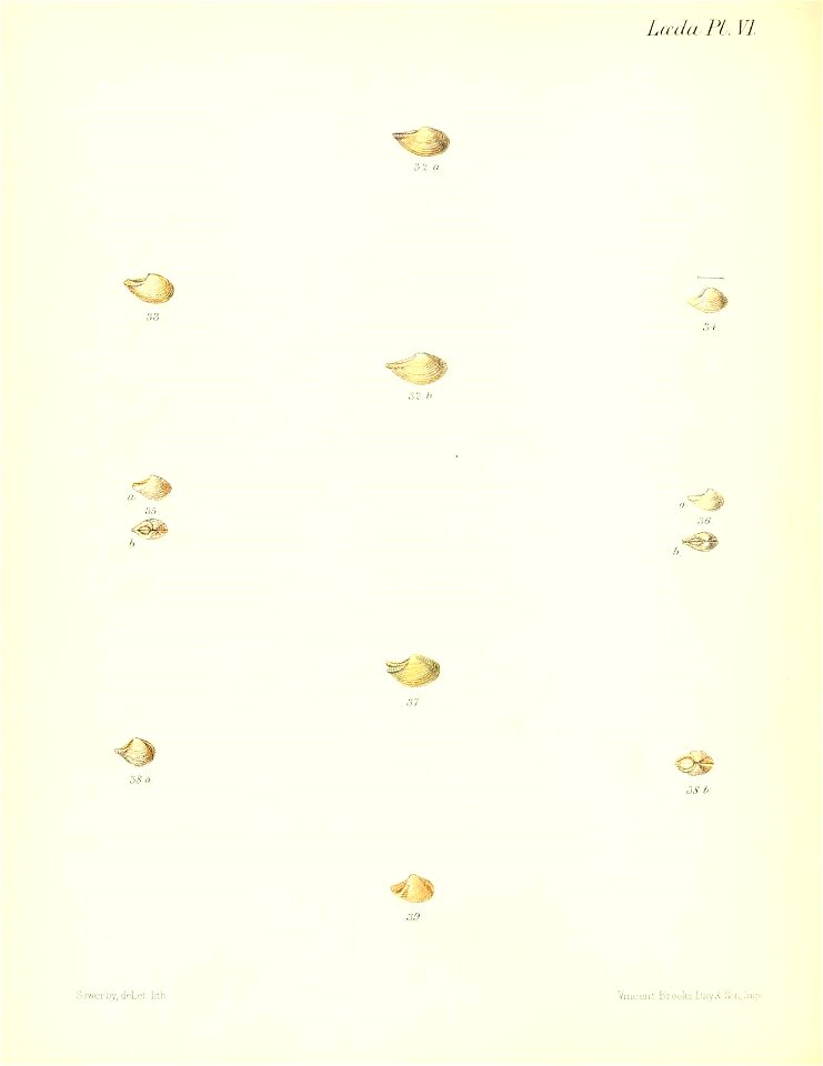 n301_w1150