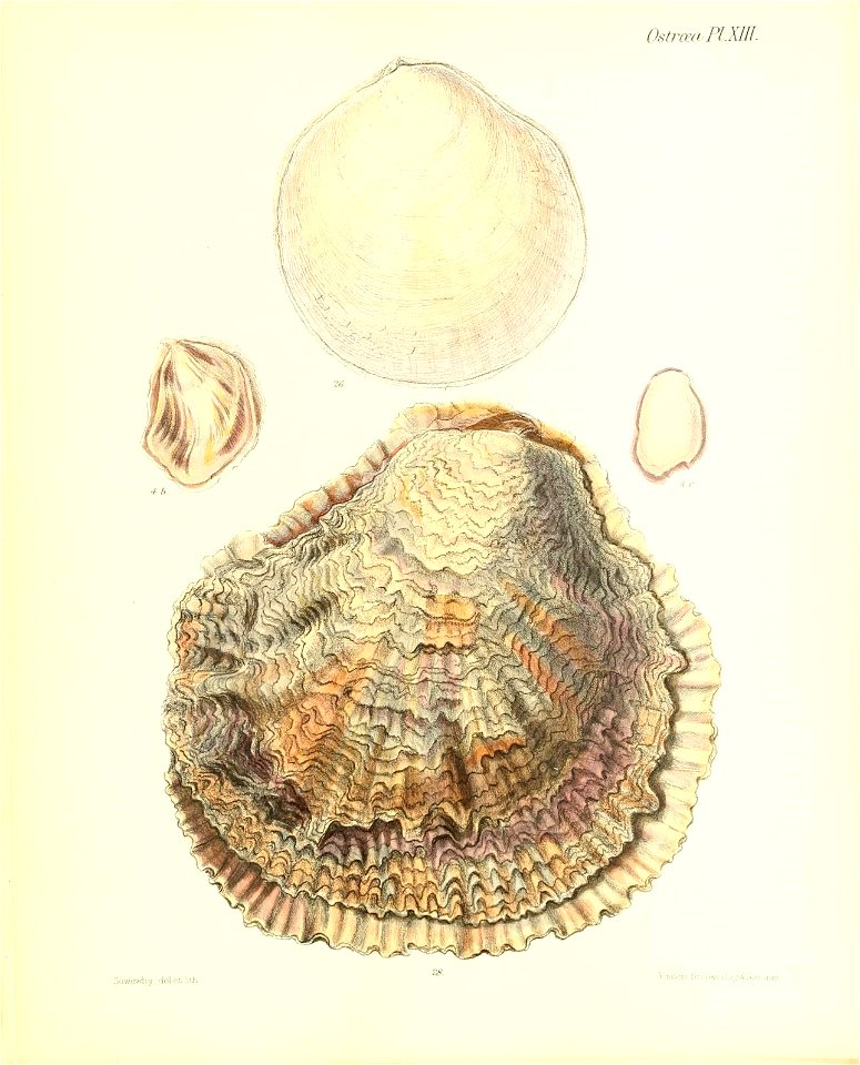 n105_w1150