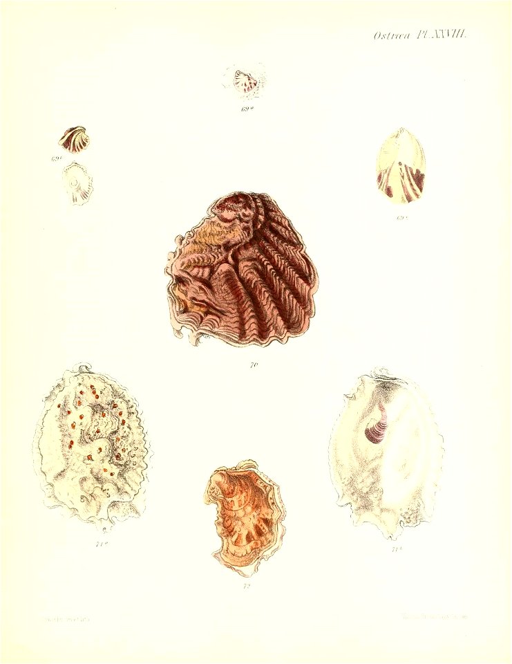 n165_w1150