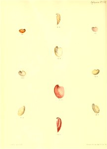 n487_w1150