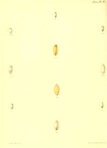 n415_w1150