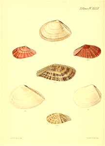n287_w1150