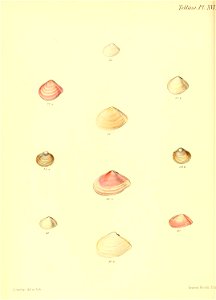 n223_w1150