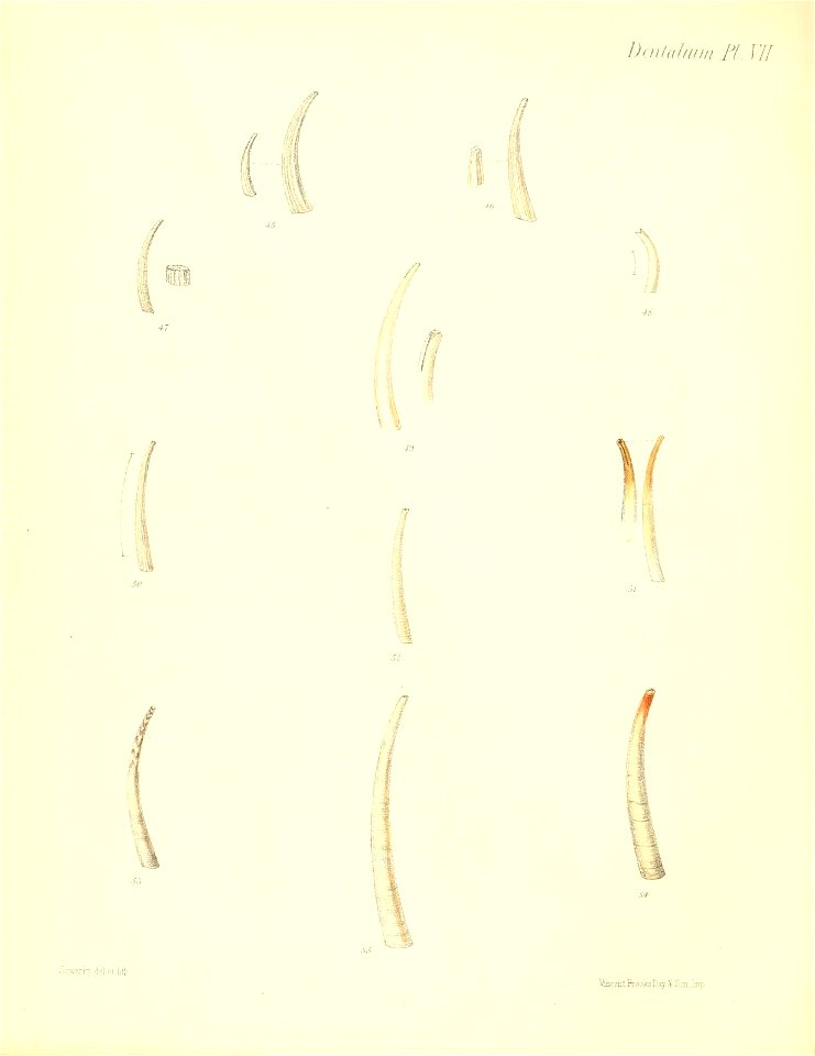 n569_w1150