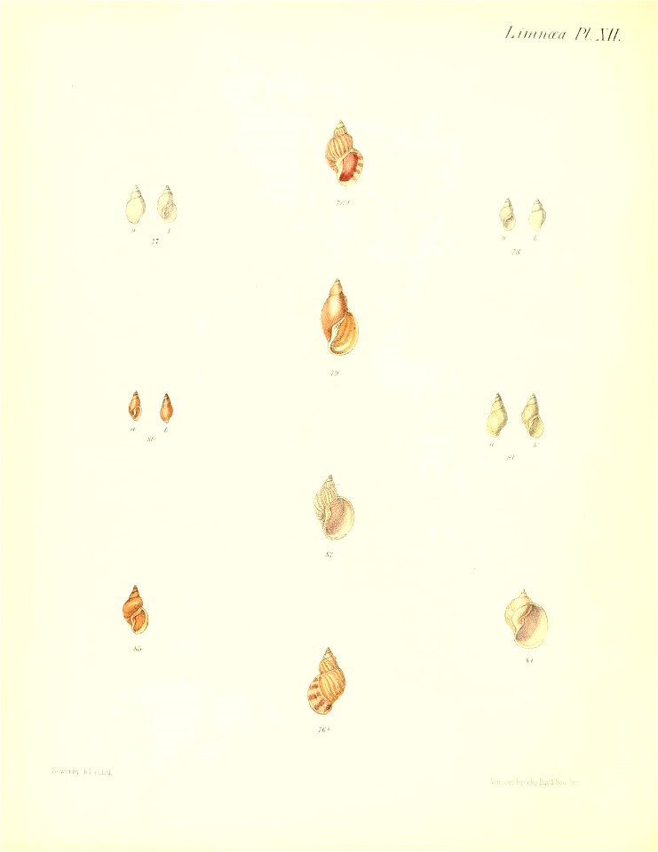 n501_w1150