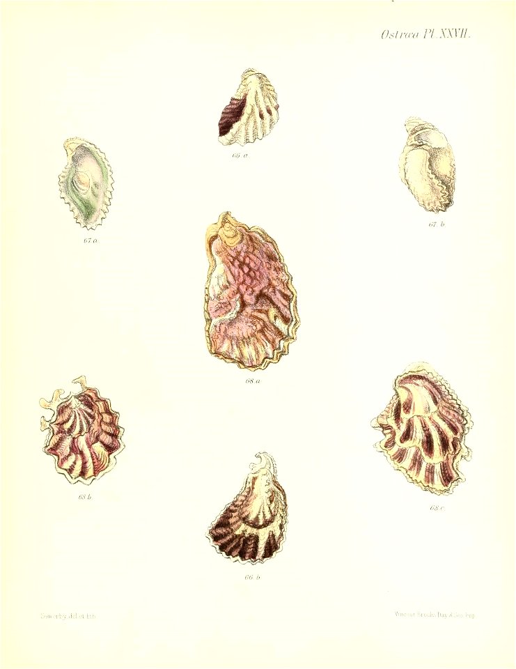 n161_w1150