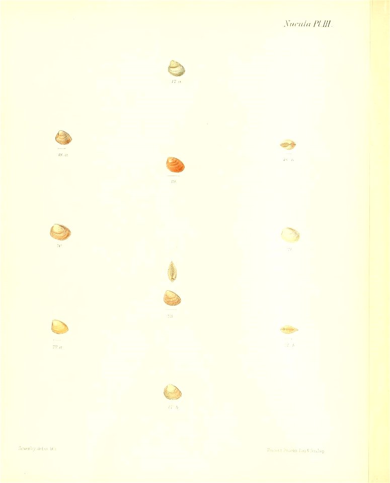 n35_w1150