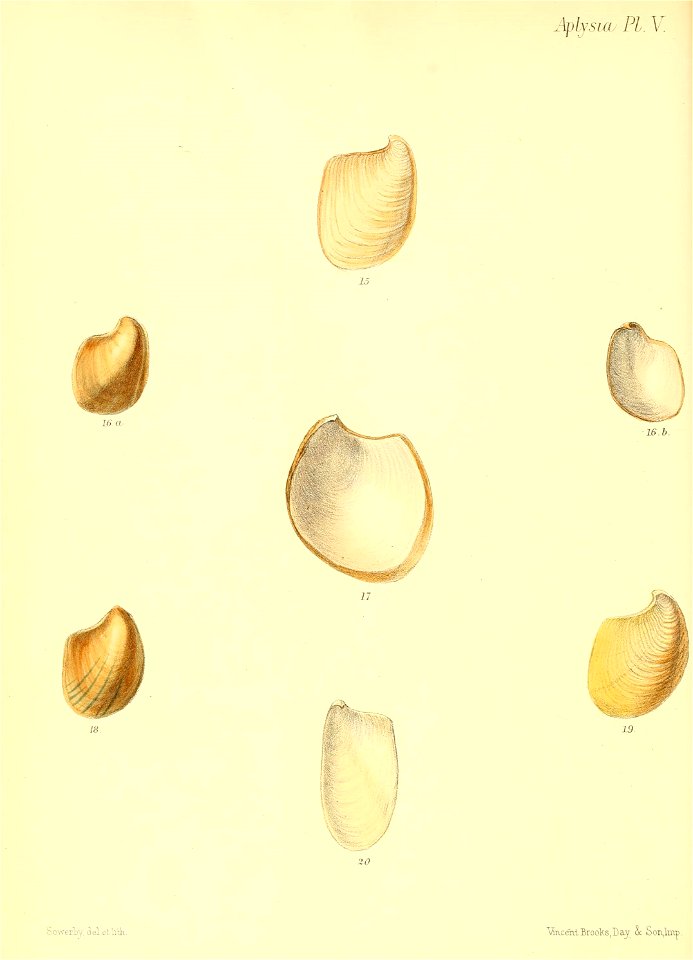 n483_w1150