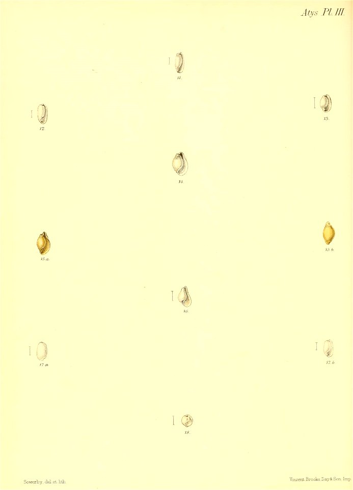 n411_w1150