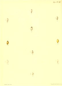 n411_w1150