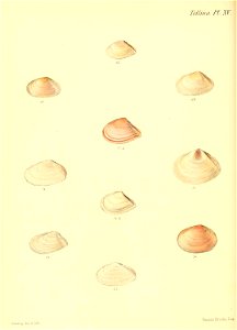 n219_w1150