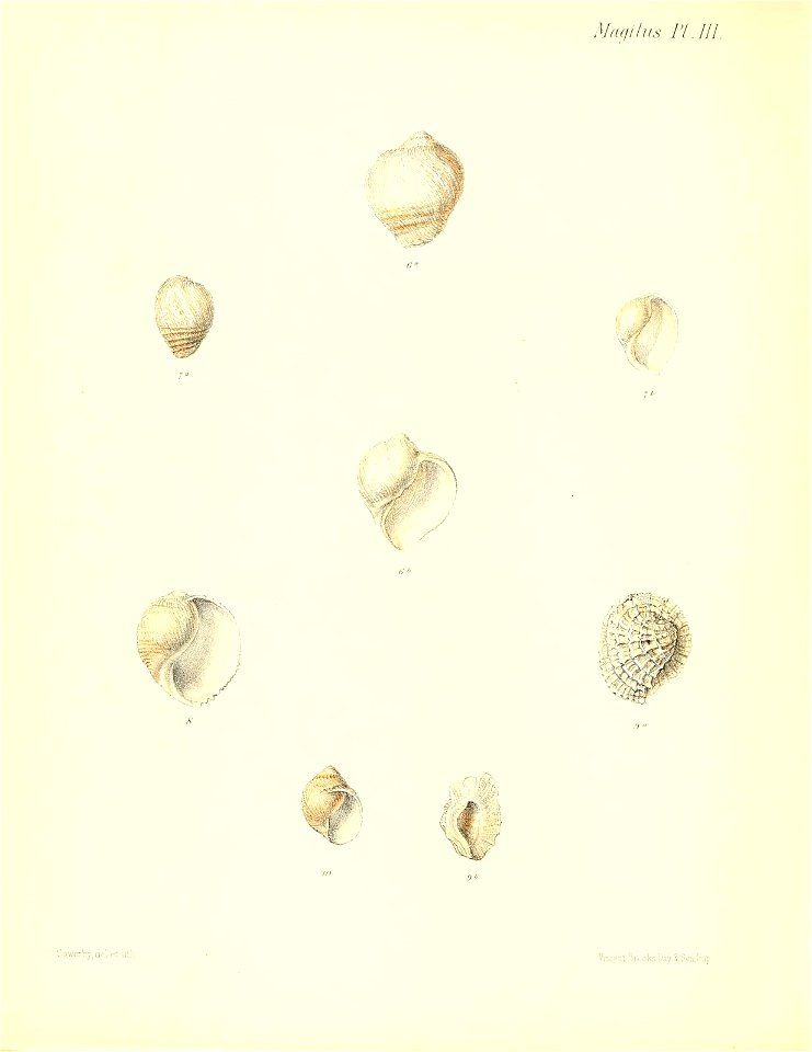 n431_w1150