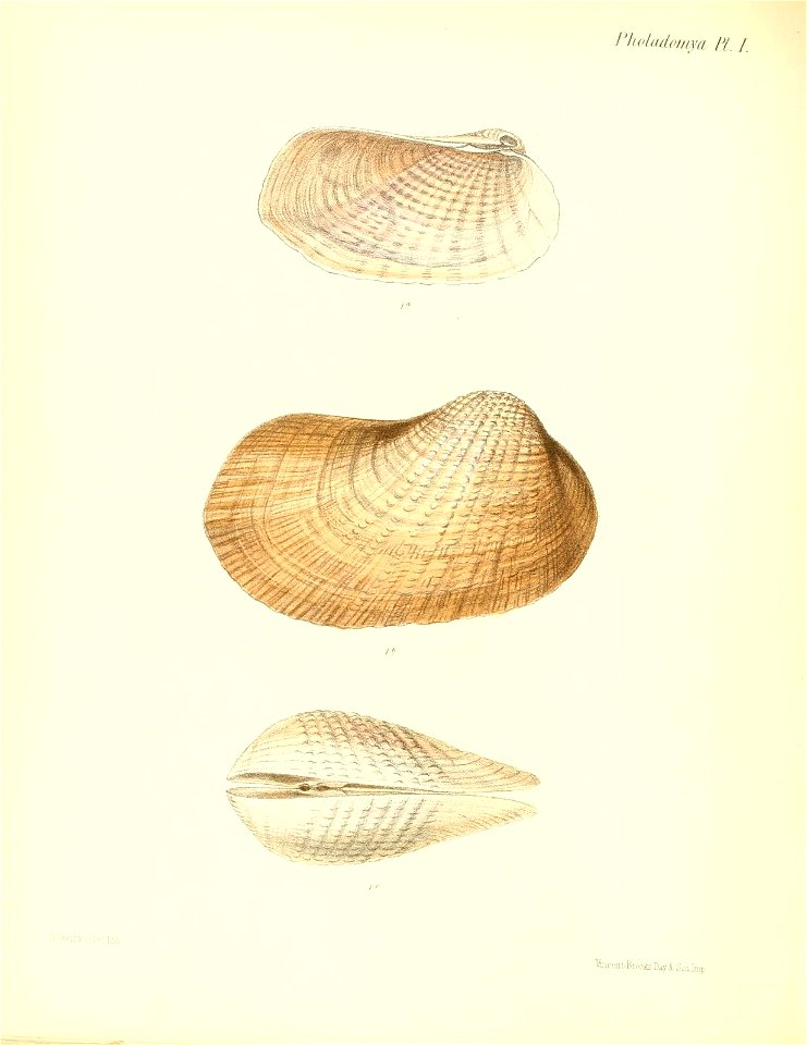 n365_w1150