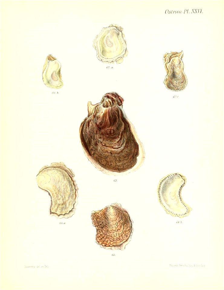 n157_w1150