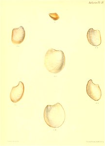 n479_w1150