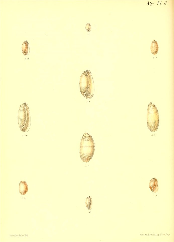 n407_w1150