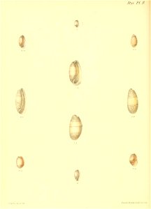 n407_w1150