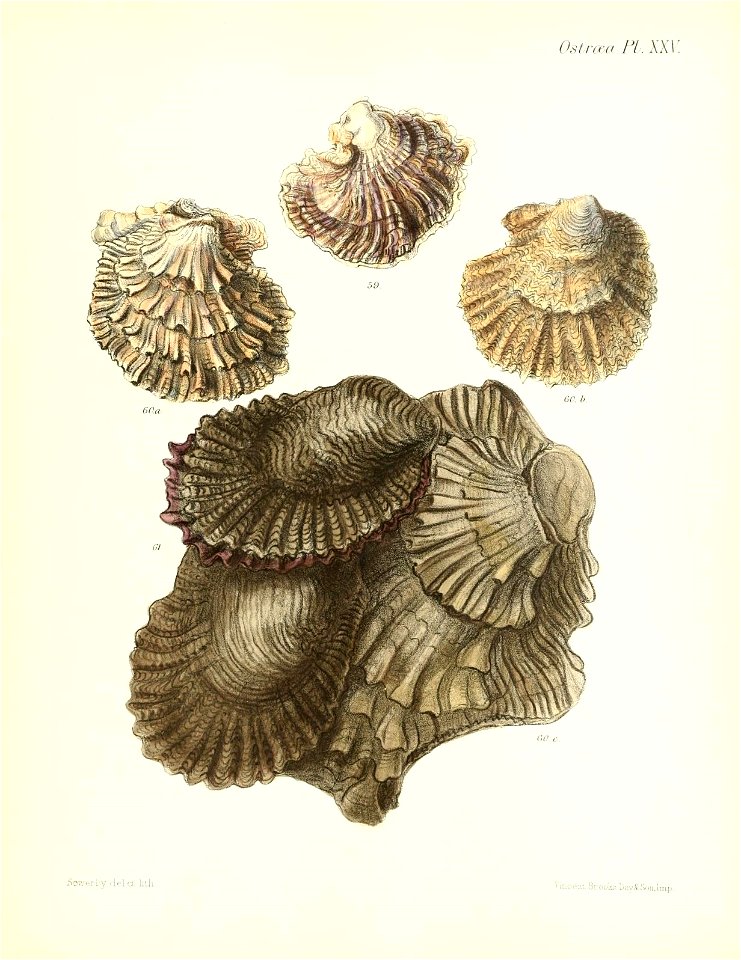 n153_w1150