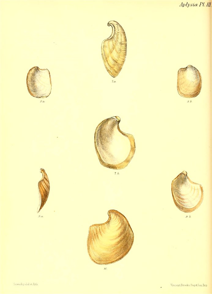 n475_w1150