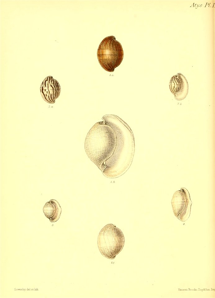 n403_w1150