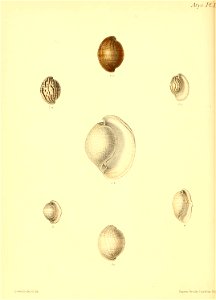 n403_w1150