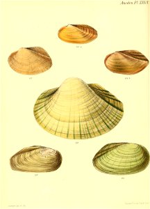 n143_w1150