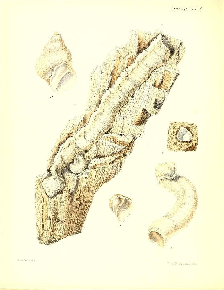n423_w1150