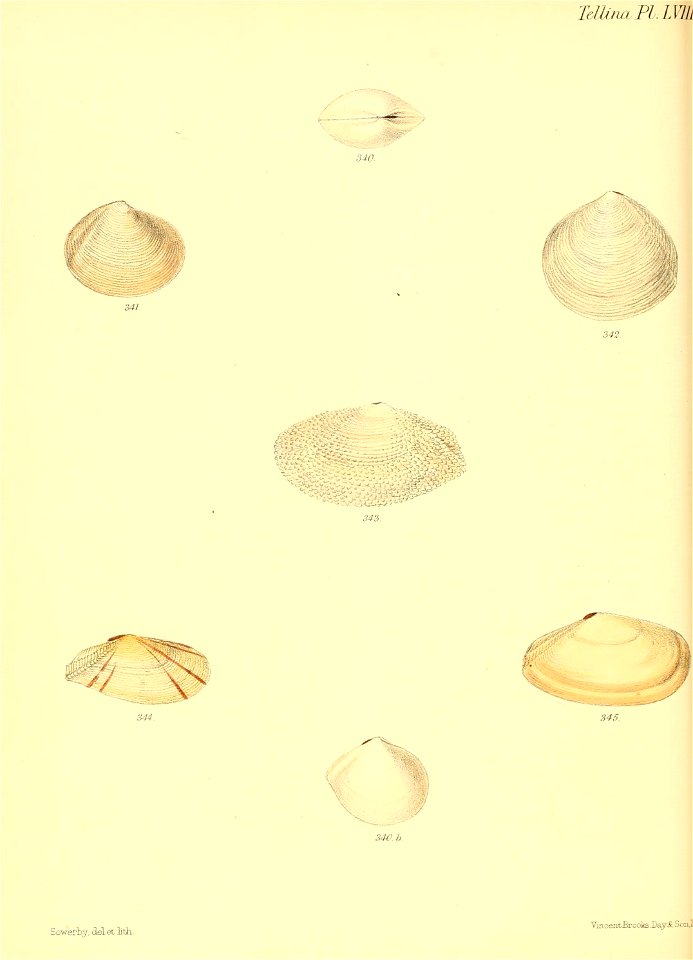 n391_w1150