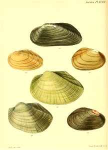 n139_w1150