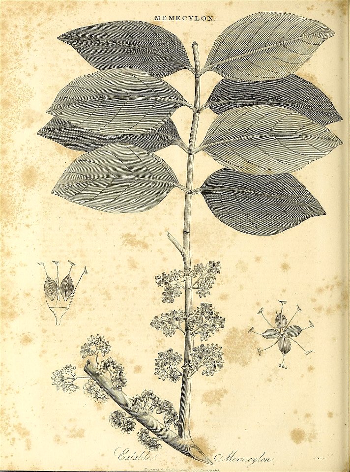 n99_w1150