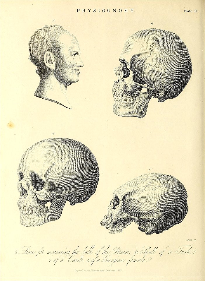 n409_w1150