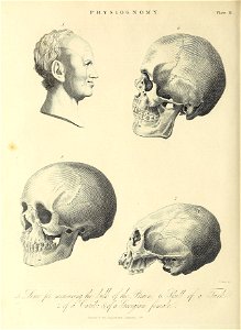 n409_w1150