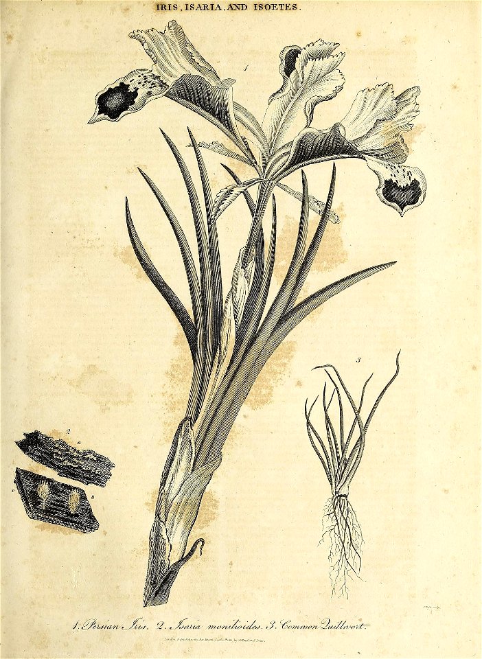 n404_w1150