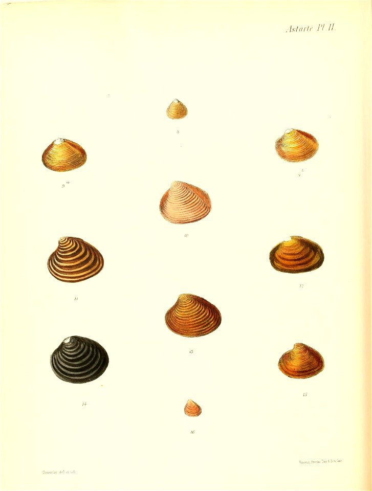 n697_w1150