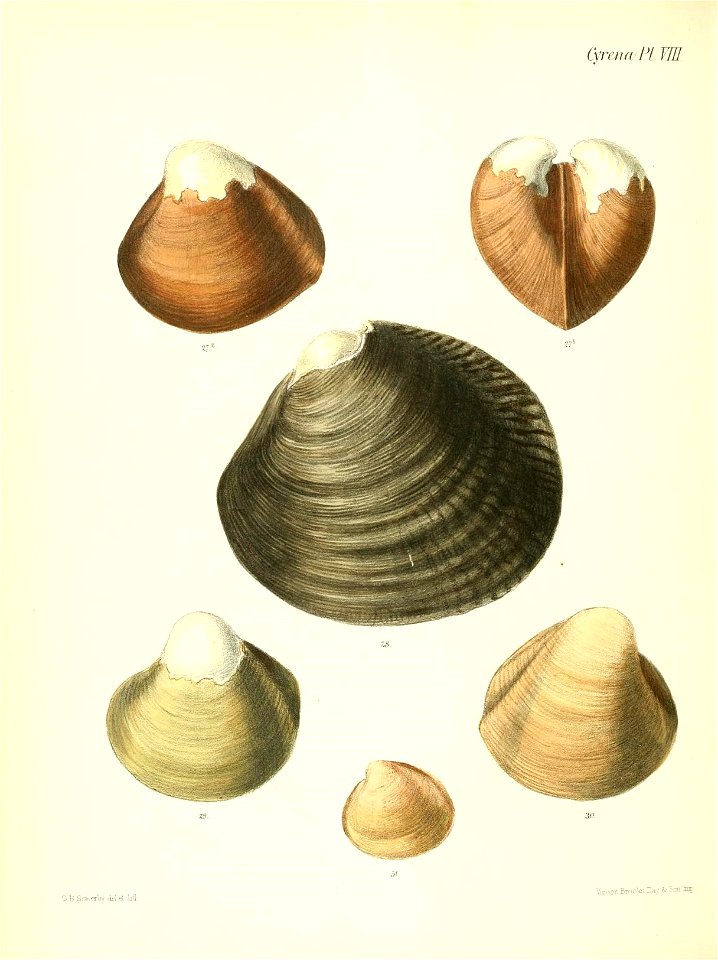 n501_w1150