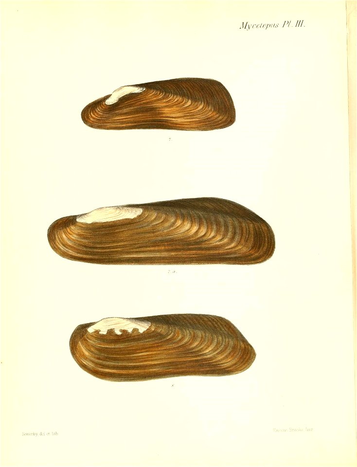 n449_w1150