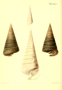n477_w1150