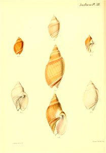 n207_w1150