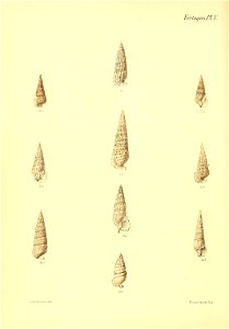 n469_w1150