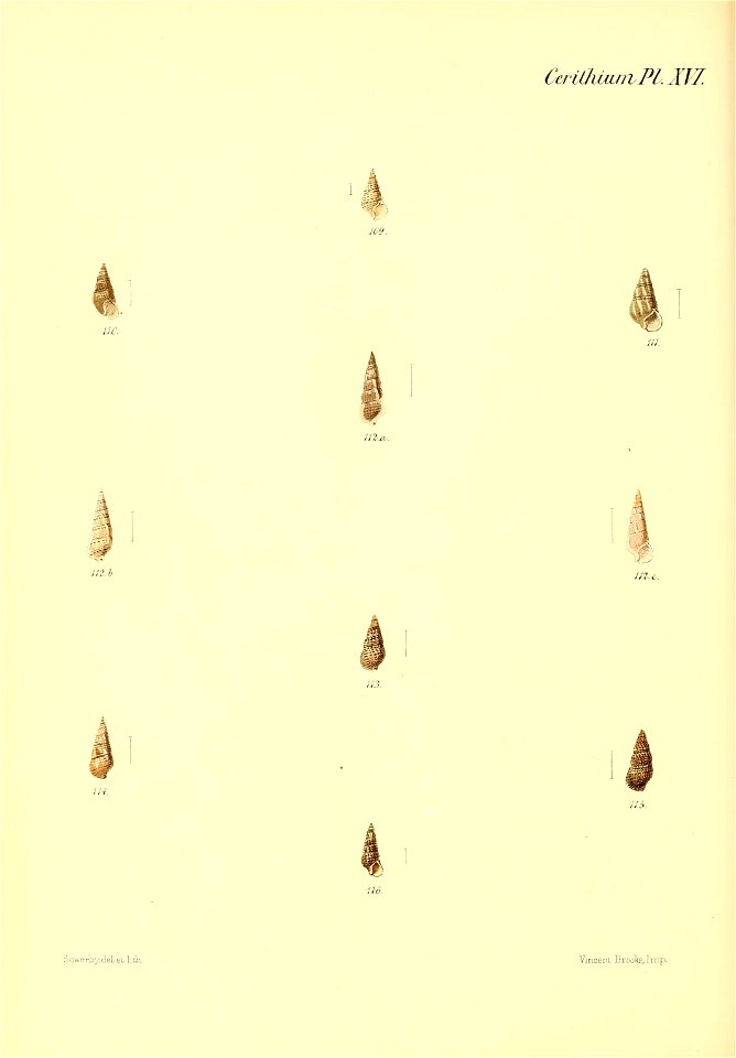 n401_w1150