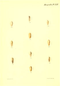 n143_w1150