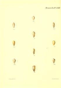 n139_w1150