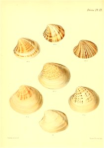n501_w1150