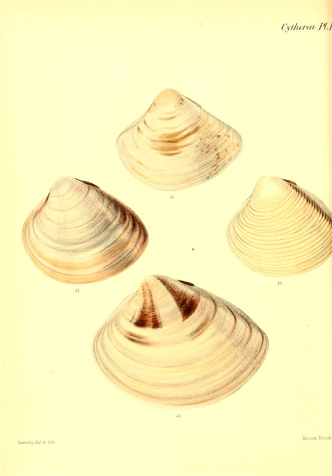 n437_w1150
