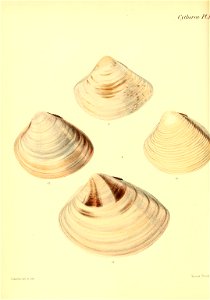n437_w1150
